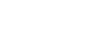 TIMO Academia Interna